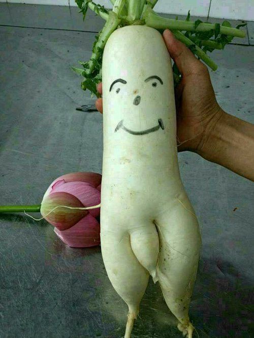 这哥们,前几个月赢了150多