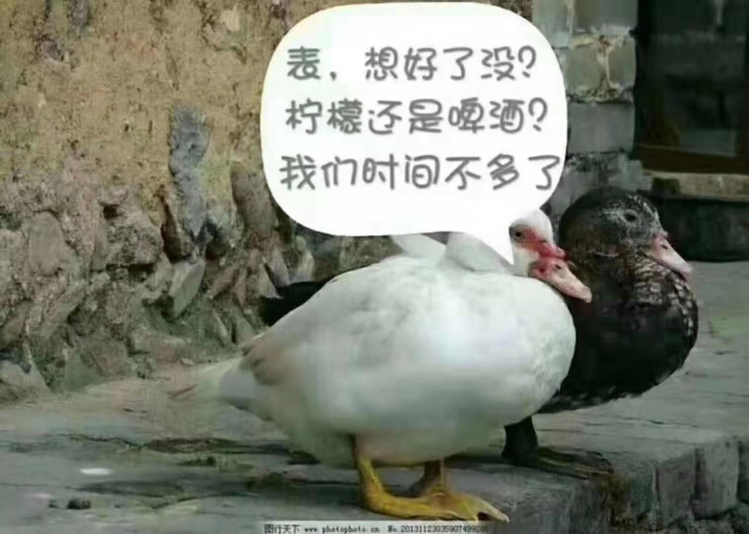 经常接到一些自称是借贷宝出借人的叫你加QQ审请贷款的电话，这些是真的吗？还是骗资料47 / 作者:芯芯芯 / 
