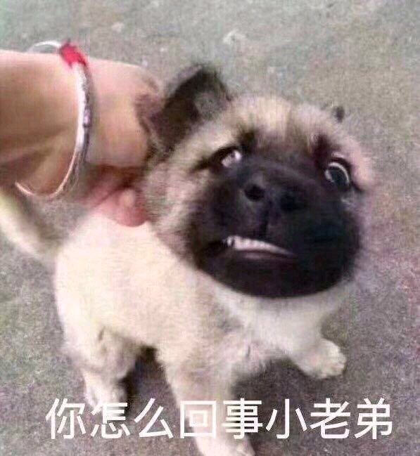 怎么还不登基，我要大赦卡农

73 / 作者:炮王小黑 / 