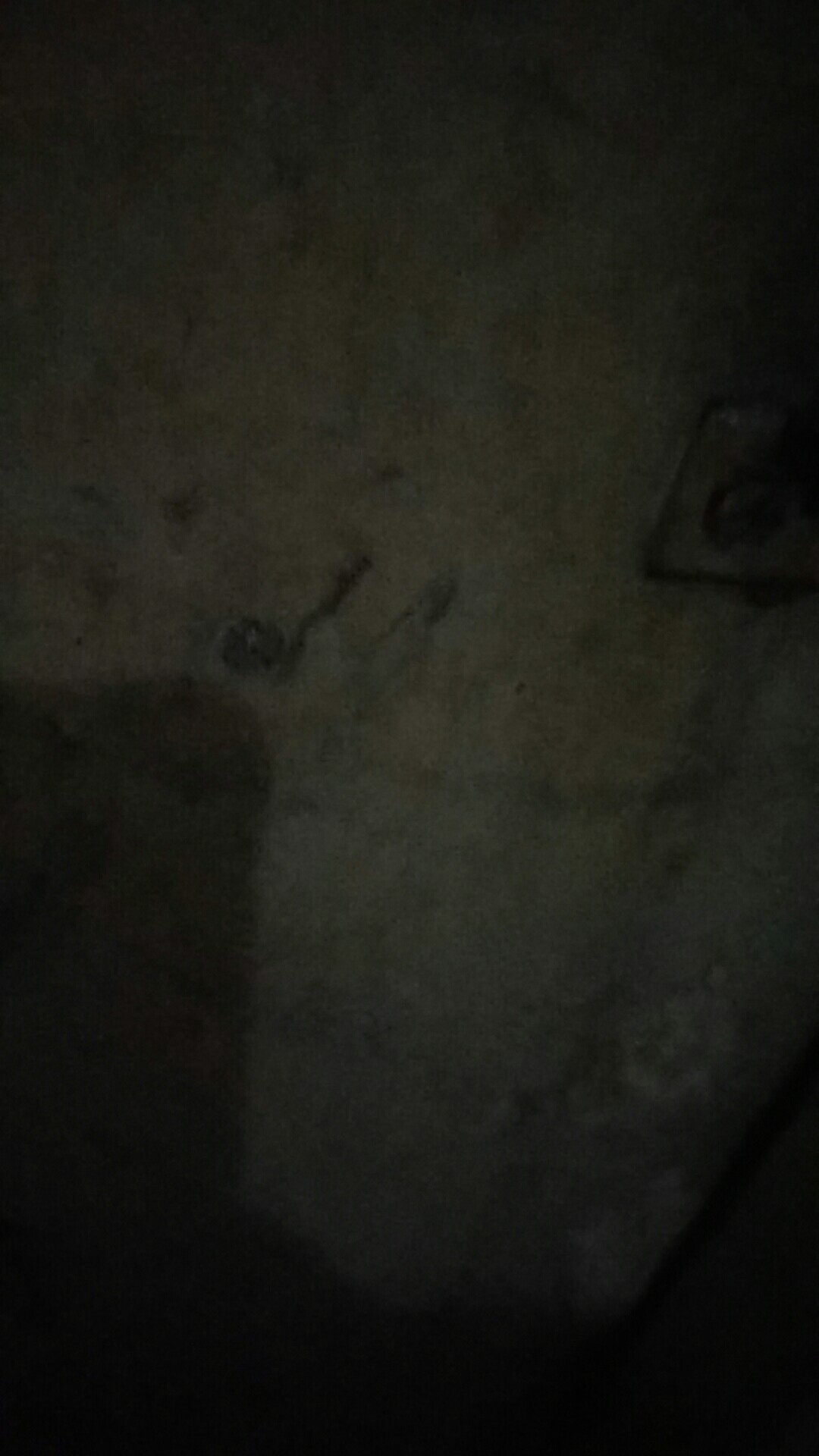 星星钱贷逾期一年多，要上门催收，真的吗？现在严打，会上门吗？哪位大神指导下！

27 / 作者:嘎？就抽了！ / 