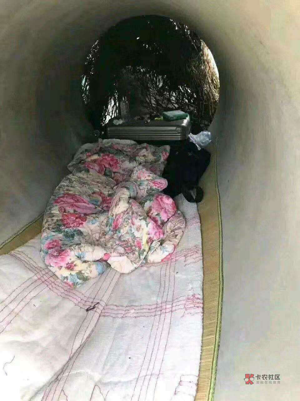 卡农的老哥，真有睡公园的？
43 / 作者:我不想死 / 