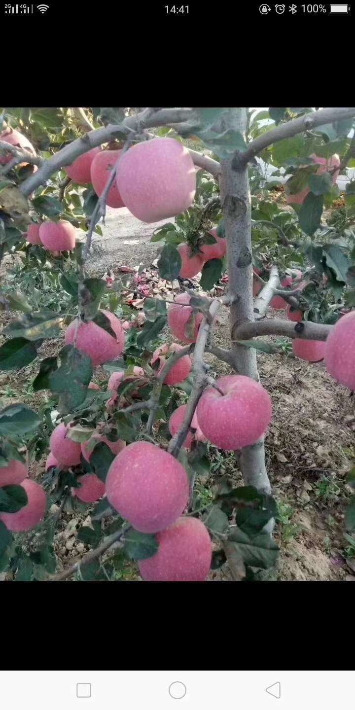 有要的老哥吗，看图




15 / 作者:zof888 / 