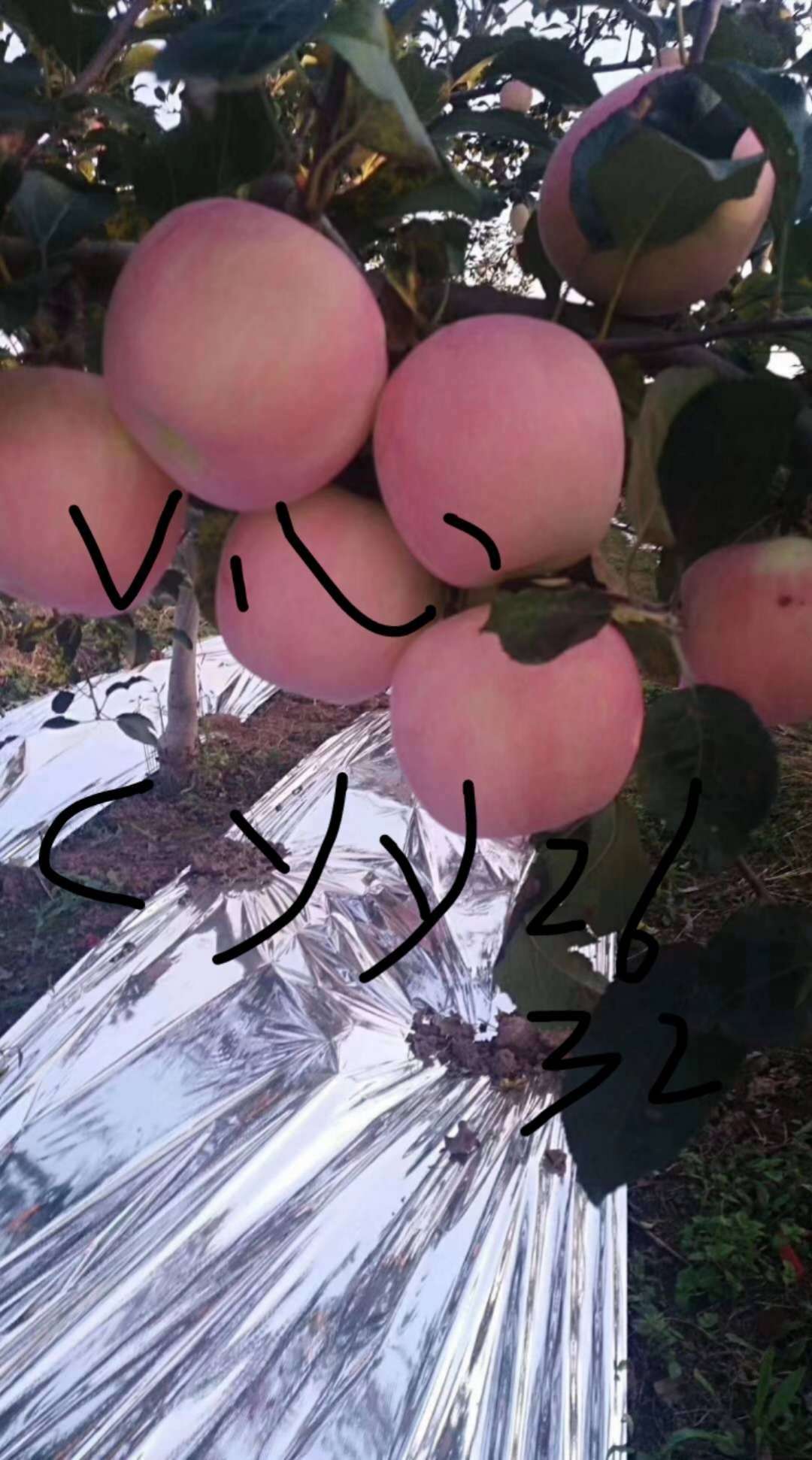 有要的没




20 / 作者:zof888 / 