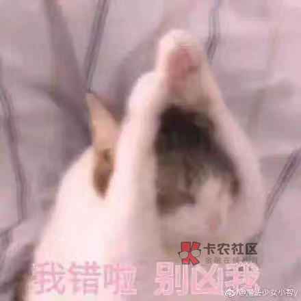 什么都不懂的人是傻子吗 watermark,image_cGljLzIwMTgwMjAzL29zc18xNTE3NjI1NjIzMDE5XzIzM182OTJfNzUzLnBuZw==,t_50,g_se,x_20,y_20