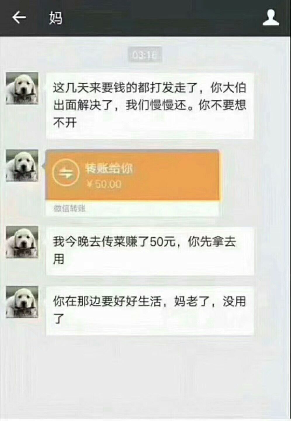 看看这张图片你会深感惭愧！我2年多前第一次看的时候直接就哭了！不为别的就为你自己43 / 作者:徽大前门 / 