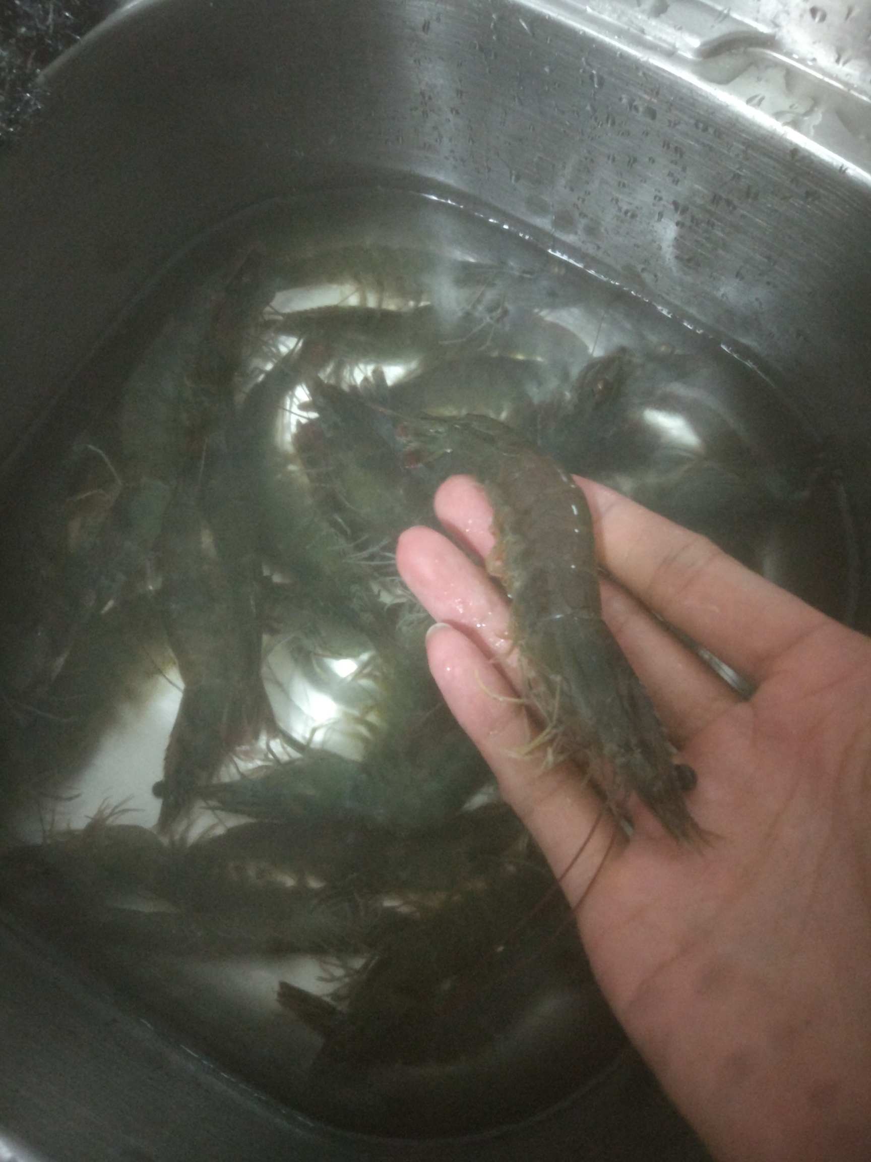 买点 虾子66块钱


89 / 作者:小老弟 / 