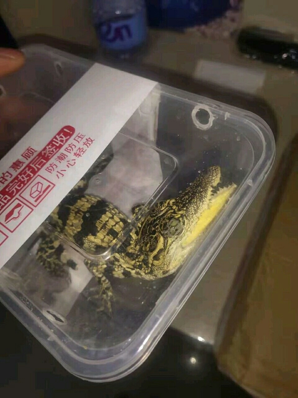 本来想买酒的




6 / 作者:沉迷败家乐 / 