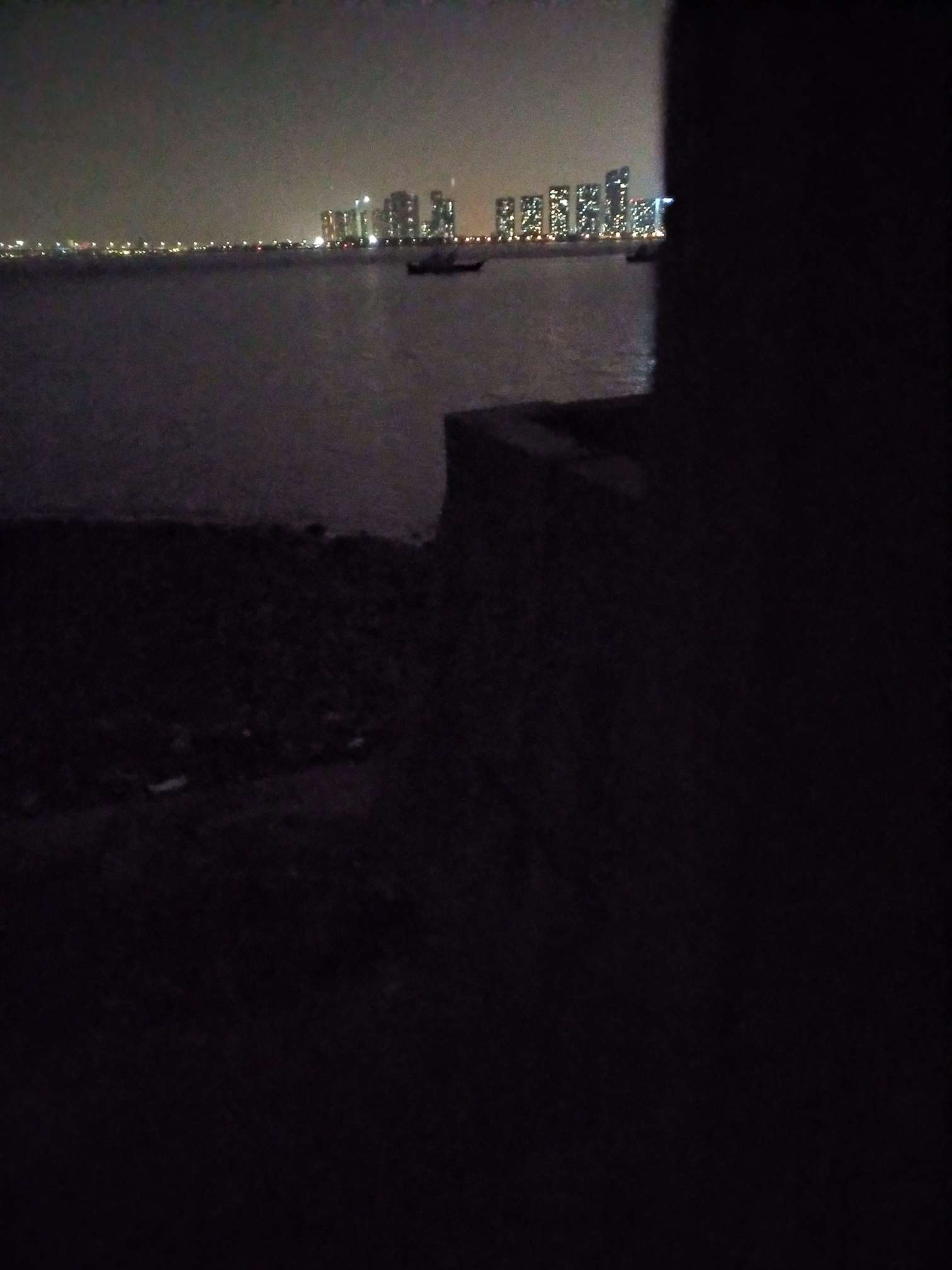 钱塘江美女坝有老哥在吗？

1 / 作者:假的很都好大 / 