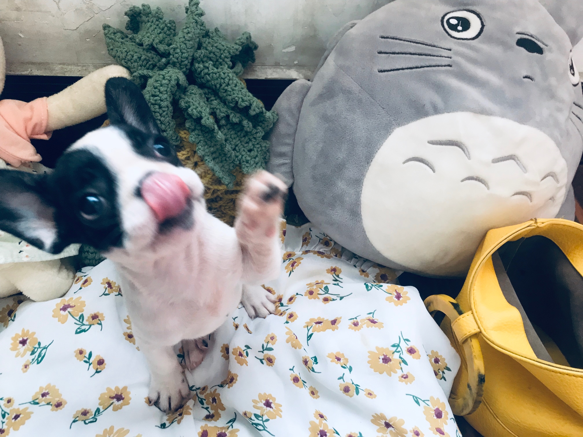 带血的钱，最终只有血来还


1000元，到手只有500元，5天后还1100元，年化收益可以做64 / 作者:卿本佳人- / 