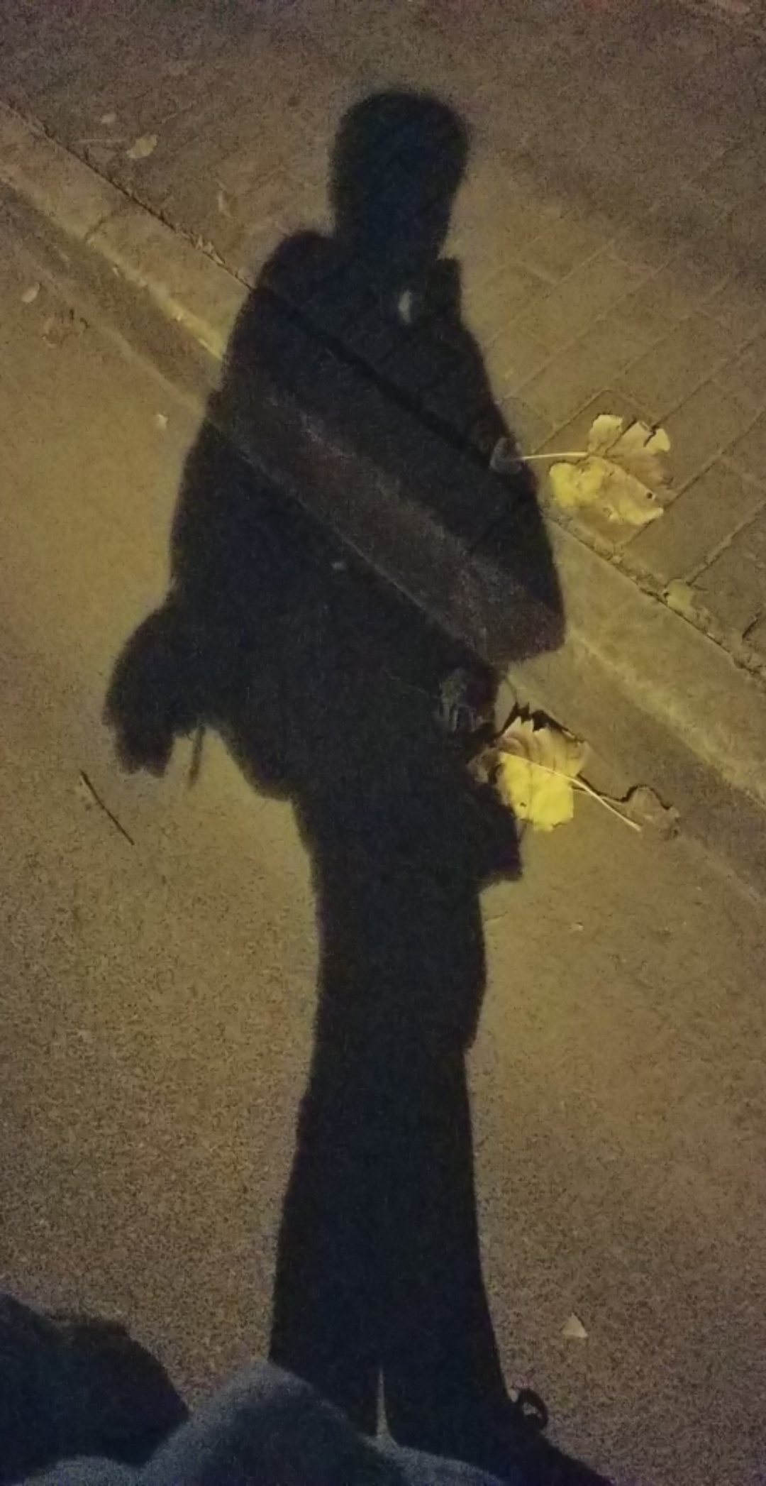我未曾放弃生活，也希望生活不要放弃我

2 / 作者:晴天asd / 