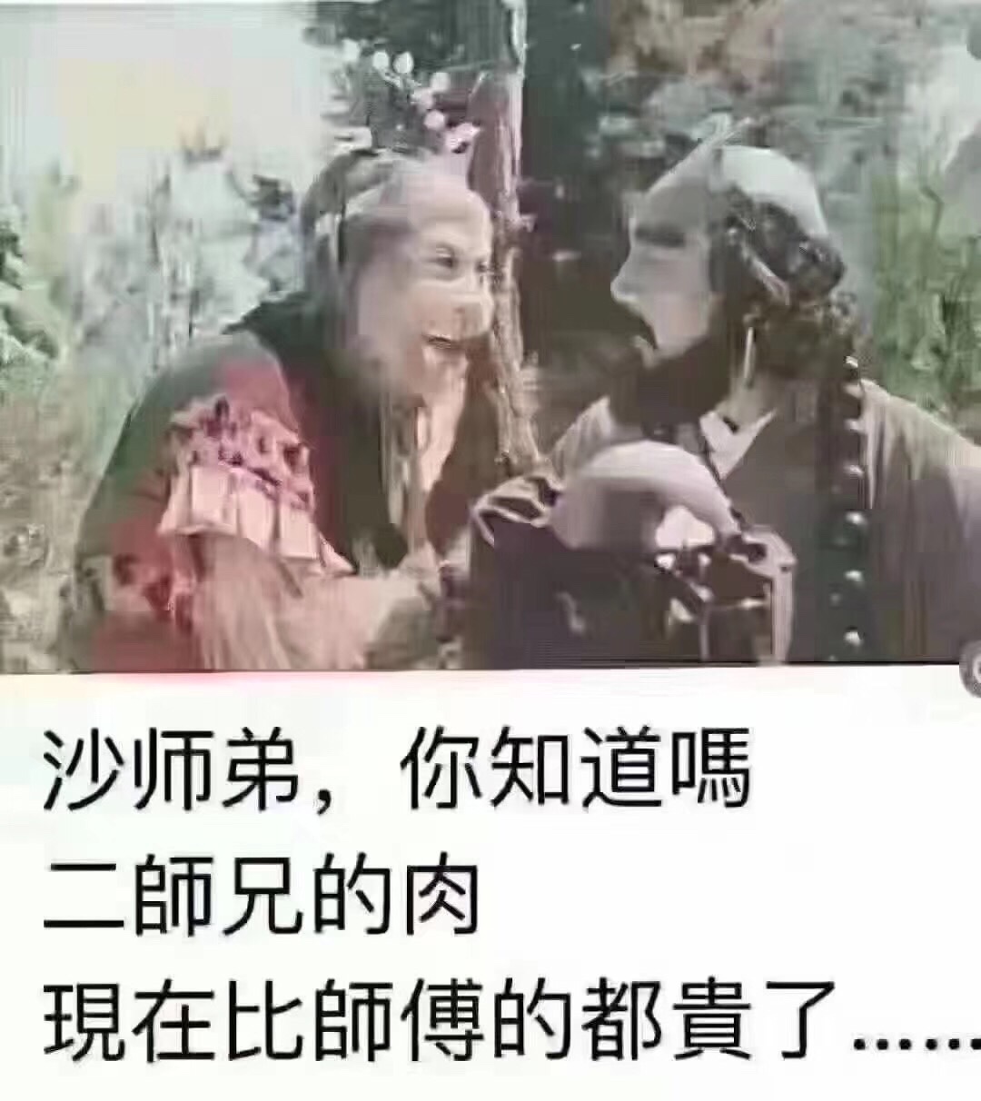 吃不起猪肉了

35 / 作者:uuioo / 