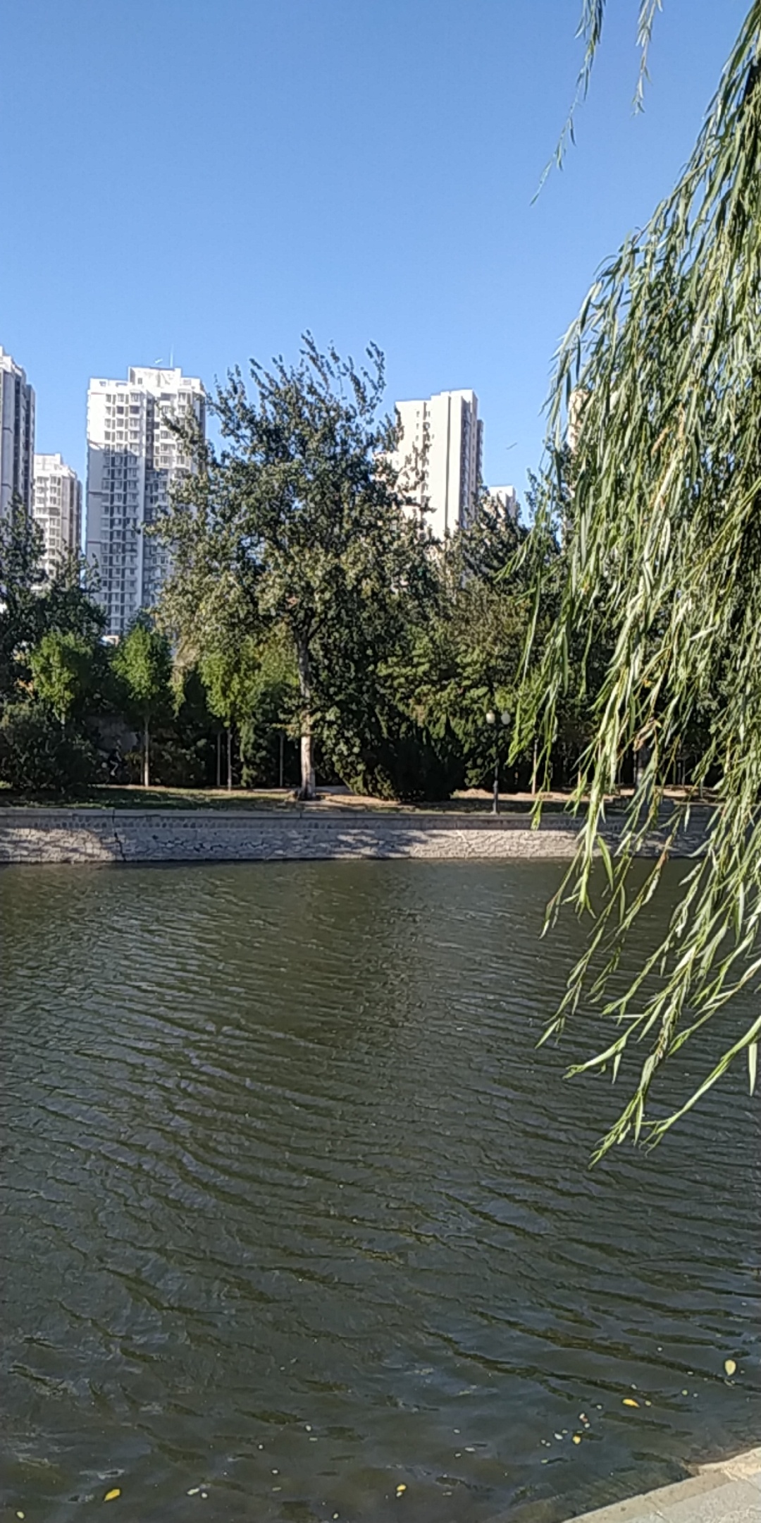 天冷了  四海为家的老哥们还好吗   冻S我了

85 / 作者:唉啾啾啾 / 