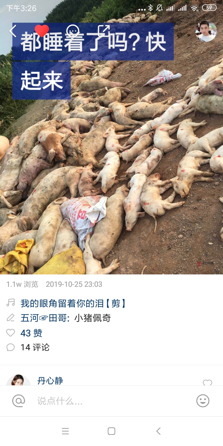 拍S猪都可以热门

44 / 作者:老佛爷@ / 