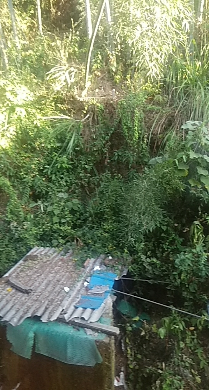 卡农老哥看到的我也帮了不少，索性也没几个让我失去帮助的贪婪。
我只想说，当我们心95 / 作者:雨落千秋 / 