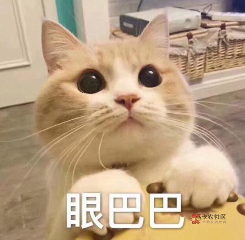 卡农故事汇,日常水贴,今天的阳光格外大,一连上