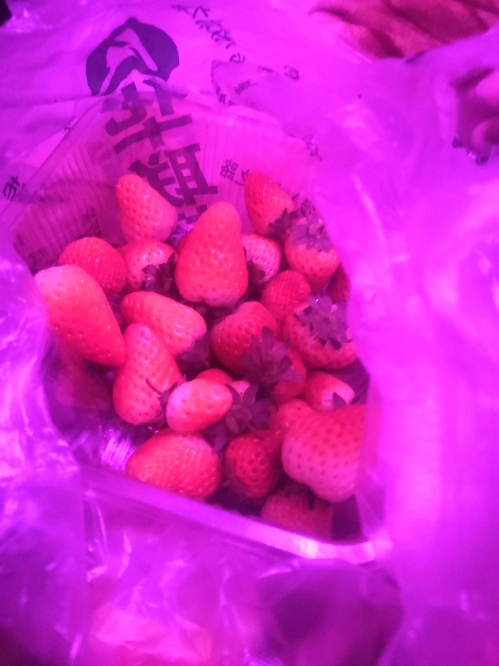 MLGBD一个不下

57 / 作者:孤独成瘾yuh / 
