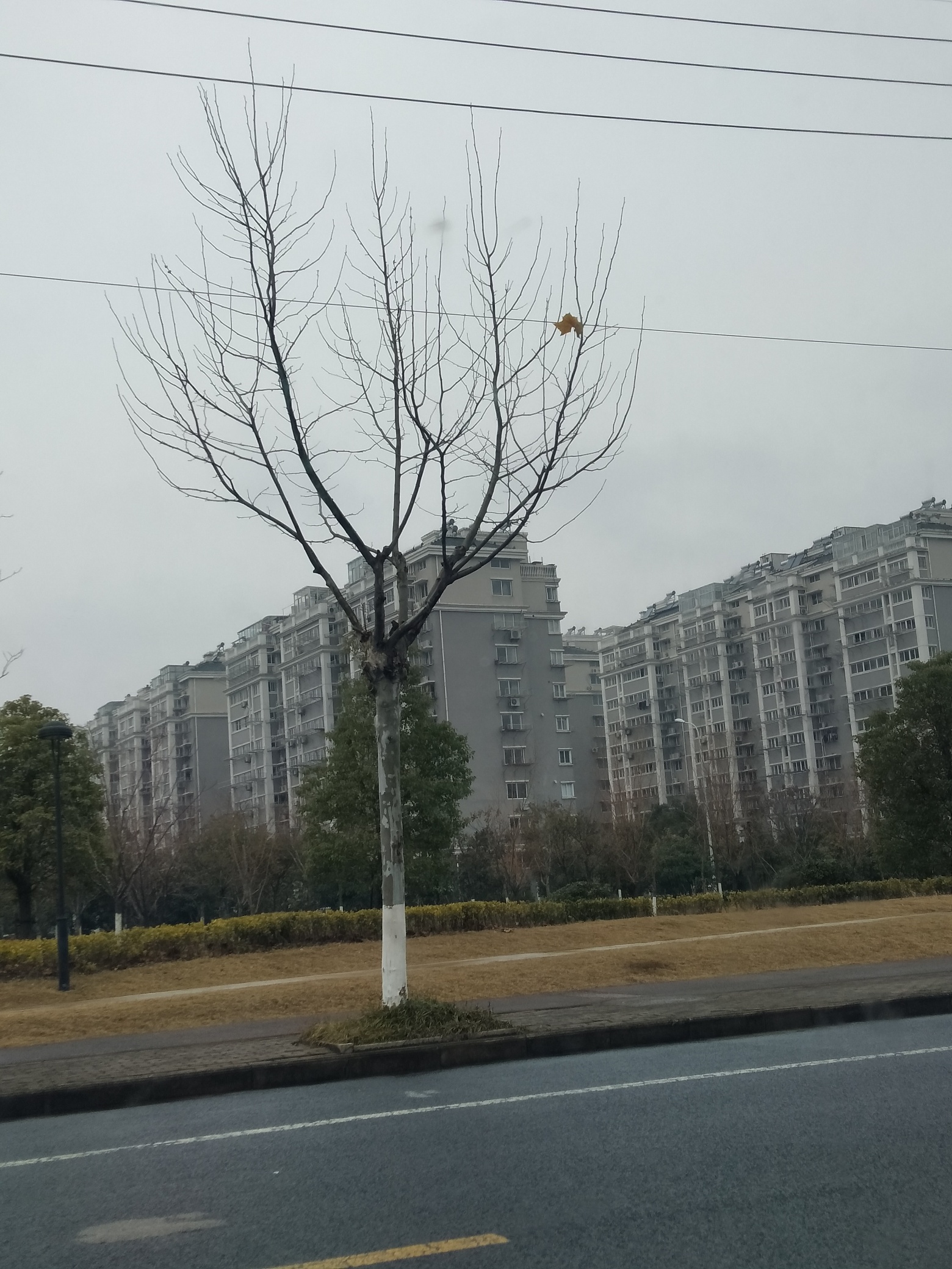 有没有正在迷茫中，想坦白却没有勇气，整天过得浑浑噩噩的老哥，来聊一聊吧。
17年的59 / 作者:风中追卡农 / 