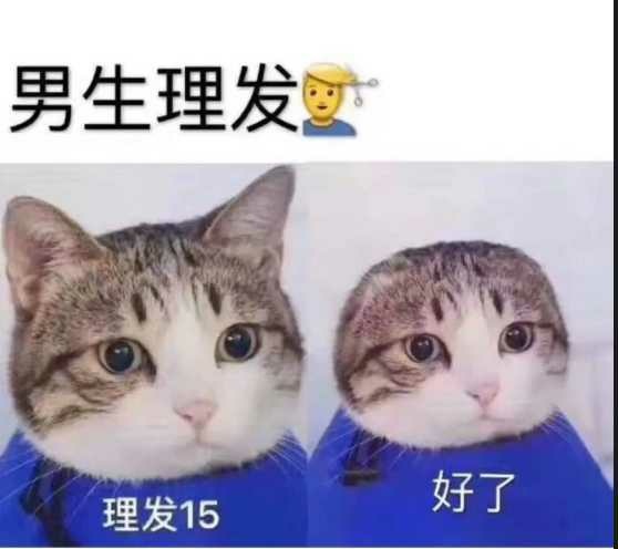 #小尾巴放水#老哥们过年回家吗？这个年你们怎么过？77 / 作者:撸界扛霸子 / 