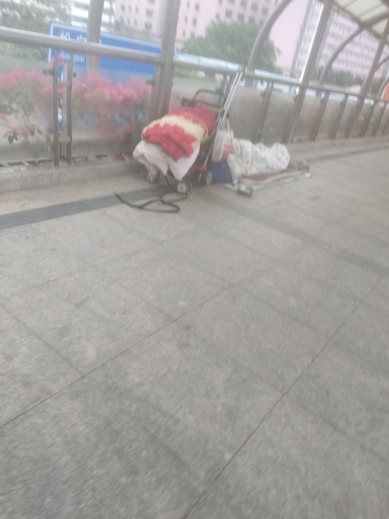 是卡农老铁吗鸣一声啊

99 / 作者:三不撸也不上岸 / 