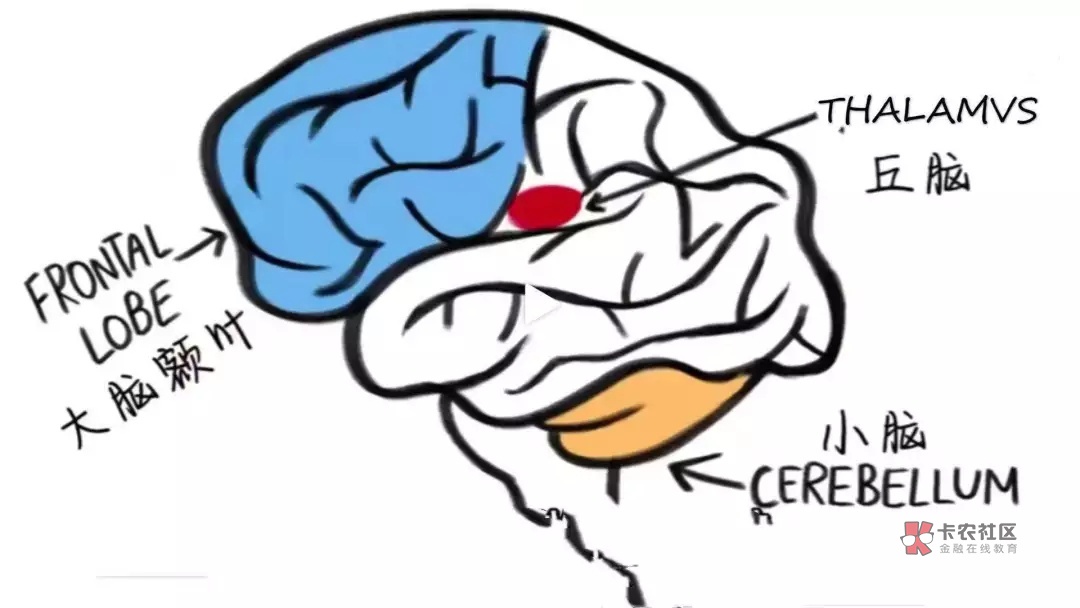 如何停下脑中的负面想法?
你是否曾因为消极的想法陷入疯狂的负面脑洞中,无法自拔?消92 / 作者:杉德久付 / 如何停下脑中的负面想法?
你是否曾因为消极的想法陷入疯狂的负面脑洞中,无法自拔?消92 / 作者:杉德久付 /