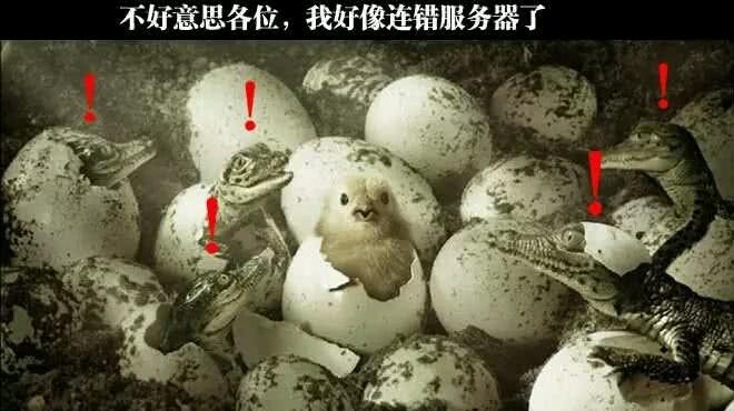 交通延期后，最低8000多，已经还了3000，明天第一天，多久会打联系人，我只想挺到月底12 / 作者:绯灵 / 