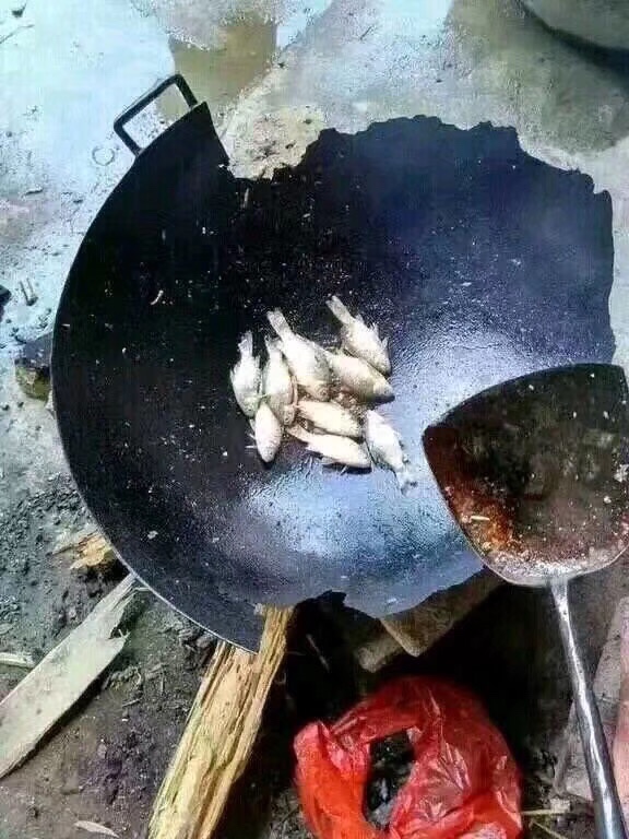 有没有女卡友，救我
请你吃大餐

17 / 作者:雷朋 / 