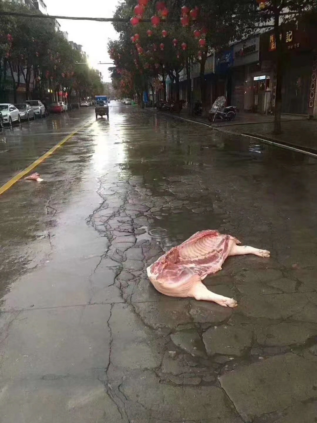 太难了有心无力不知道哪个猪肉老板搞掉了半只猪想捡一个人也扛不动吖