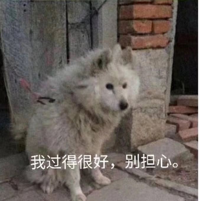 肚子饿的呱呱叫

11 / 作者:雷朋 / 