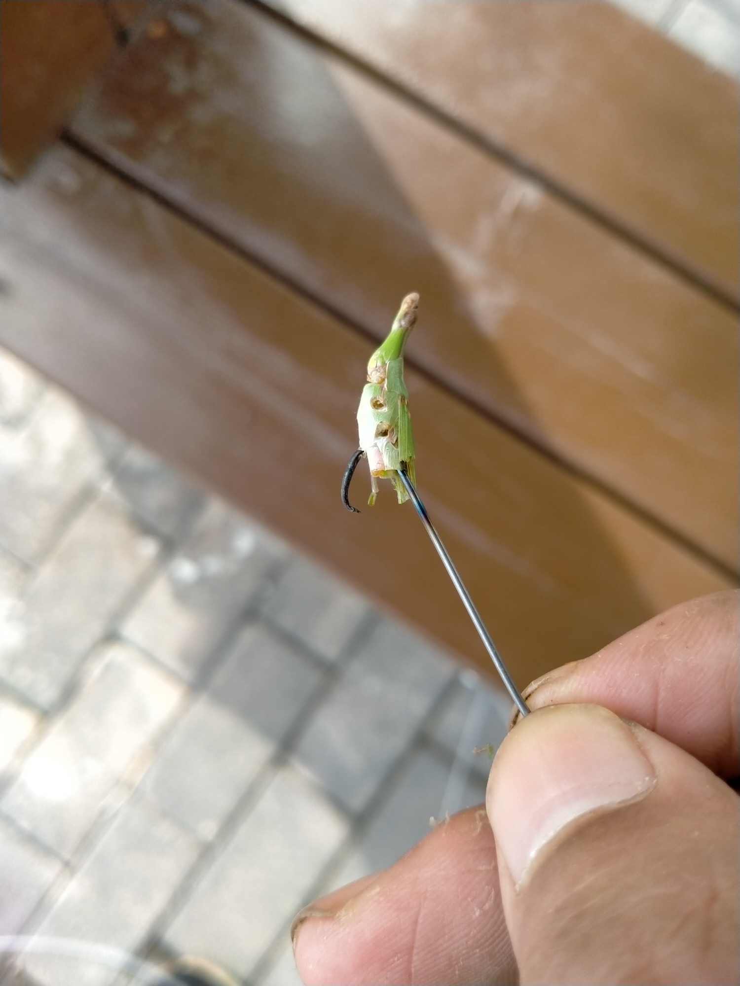 东西齐全了，一会抓两个蚂蚱，就可以开始钓了

3 / 作者:君爱财取有道 / 