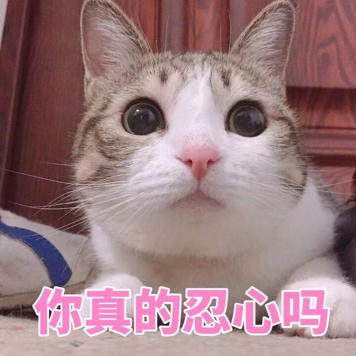6楼 666花贝

71 / 作者:穷人啊 / 