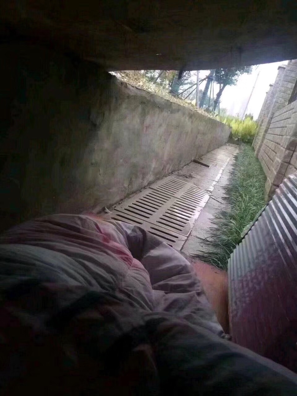 哪哪都下雨，烦躁啊

21 / 作者:雷朋 / 