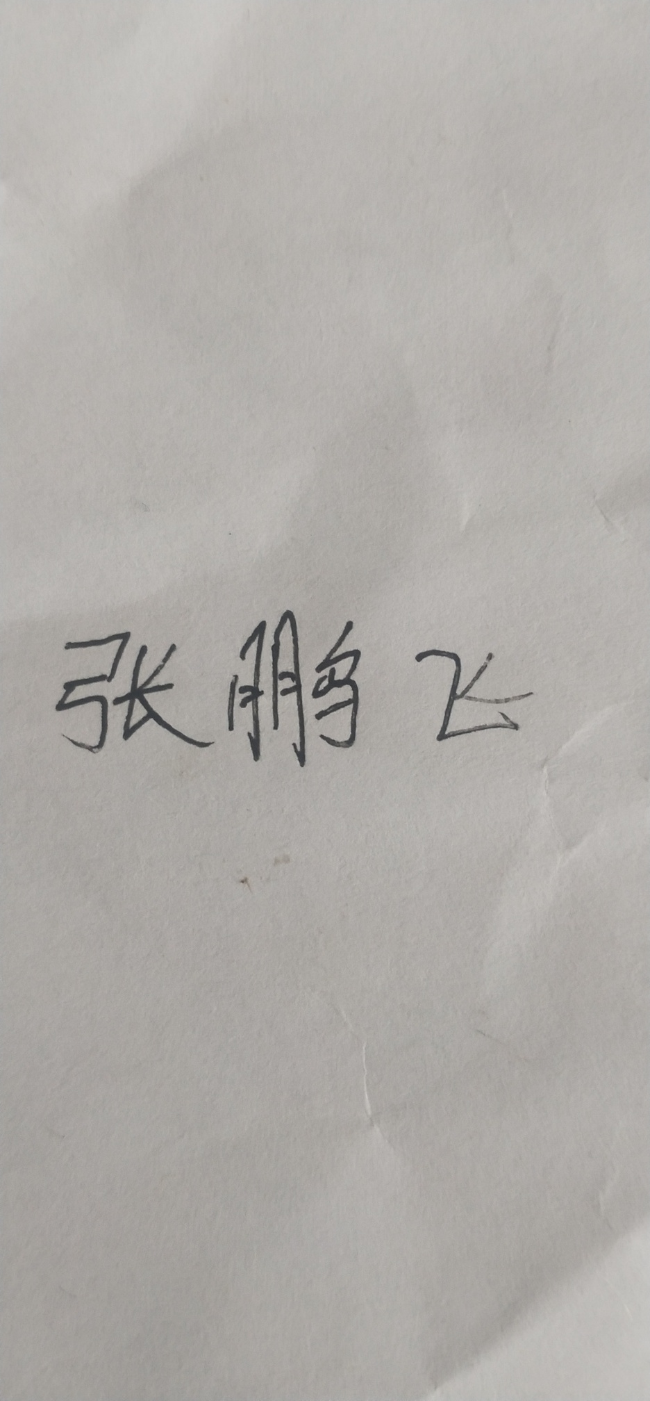 有没有老哥身边有笔有纸，帮我写个名字，张鹏飞

41 / 作者:一杯浊丶酒 / 
