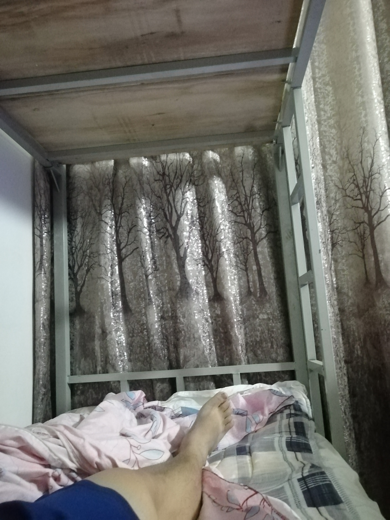 哎，吃不下饭，苦恼的挂壁生活

99 / 作者:证明自己 / 