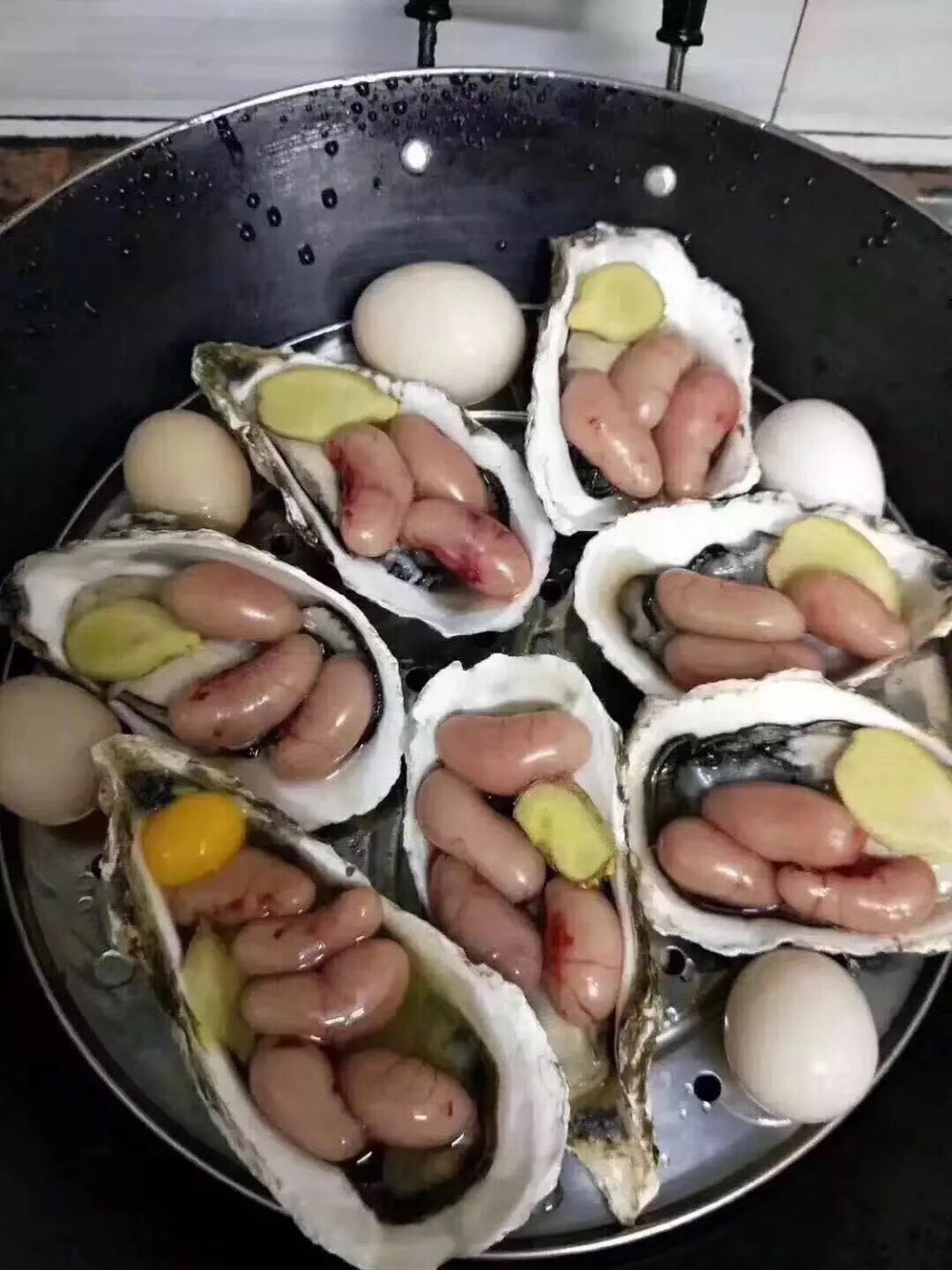 肚子饿的呱呱叫


27 / 作者:雷朋 / 
