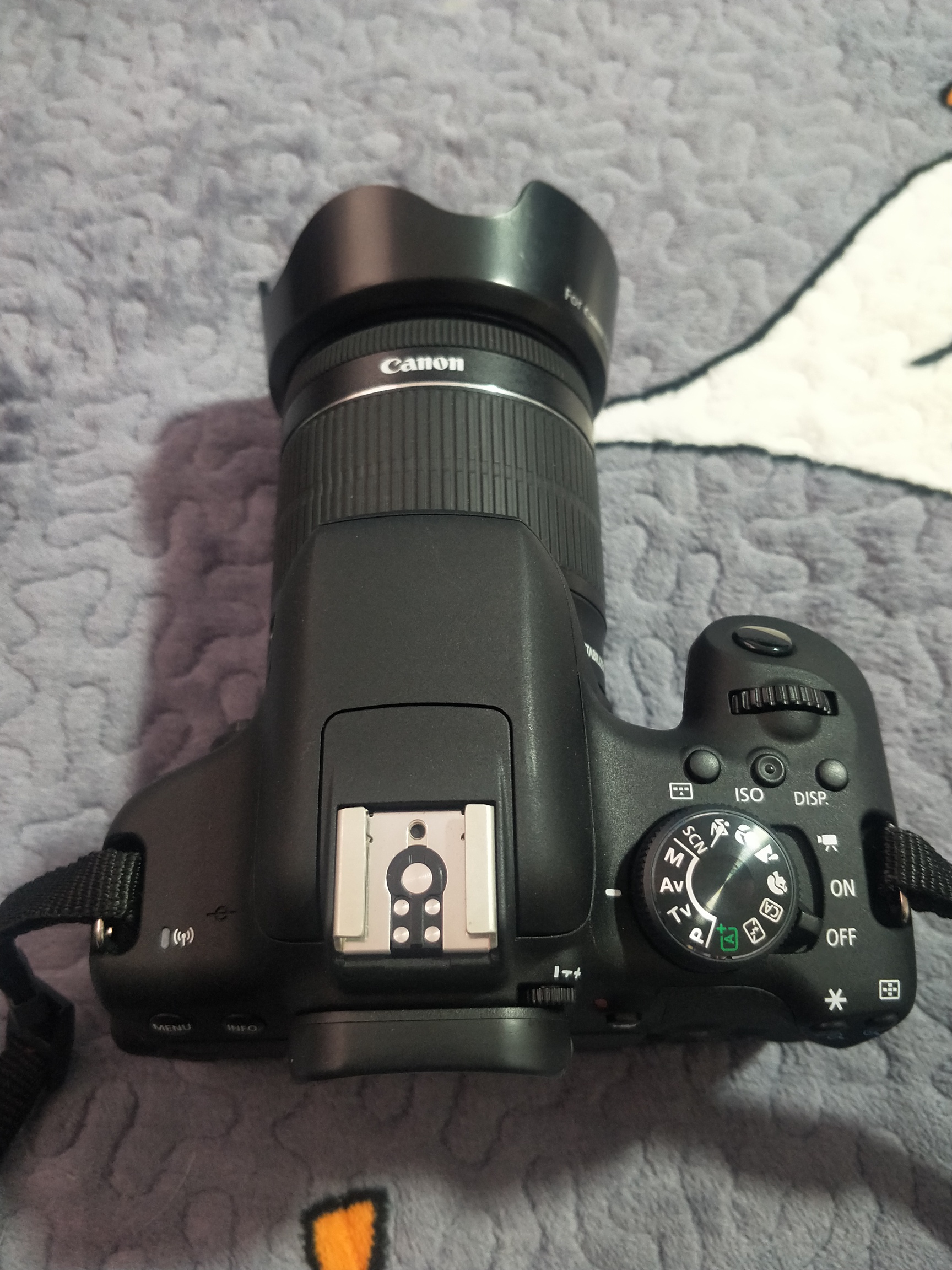 闲鱼信用回收我有个佳能数码相机闲鱼回收给3150是不是我邮寄过去那边