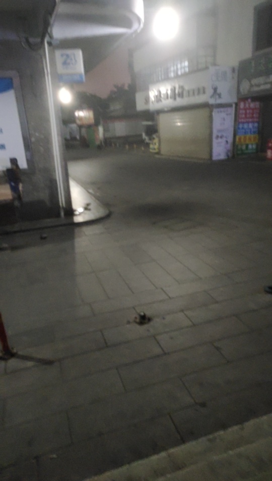 真安静

6 / 作者:强制两年了 / 