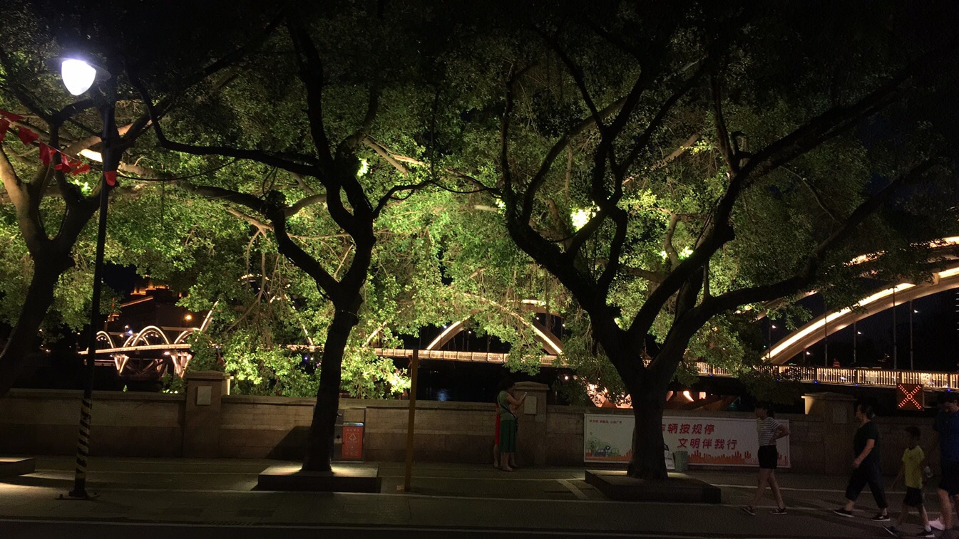 福州兄弟姐妹，出来报道了

74 / 作者:雷二爷 / 