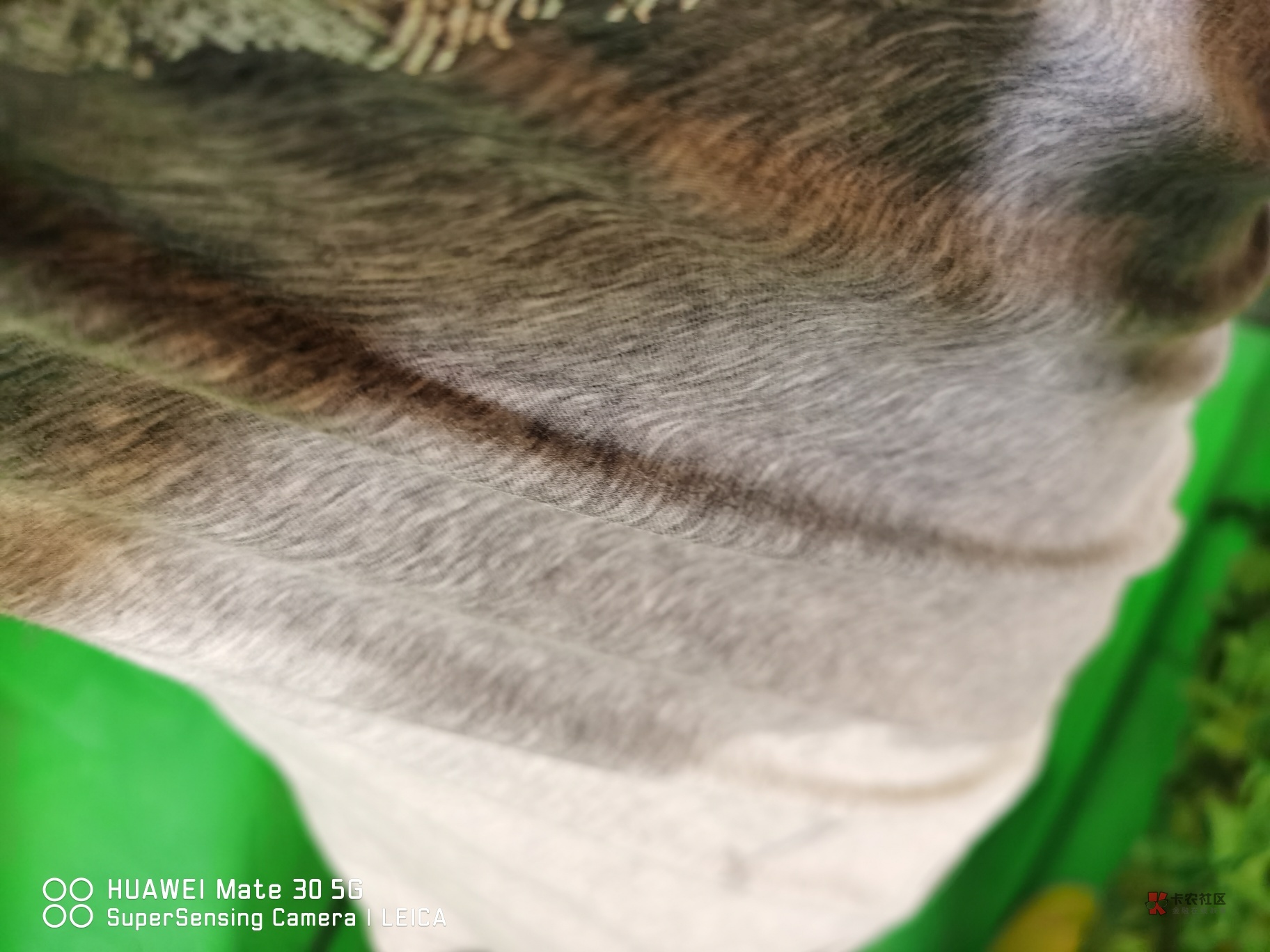 哎,闲下来,就会感受到各种无穷无尽的压力过来,对生活的 家庭的。不止一次我都在想75 / 作者:角落的孩子 / 哎,闲下来,就会感受到各种无穷无尽的压力过来,对生活的 家庭的。不止一次我都在想75 / 作者:角落的孩子 /