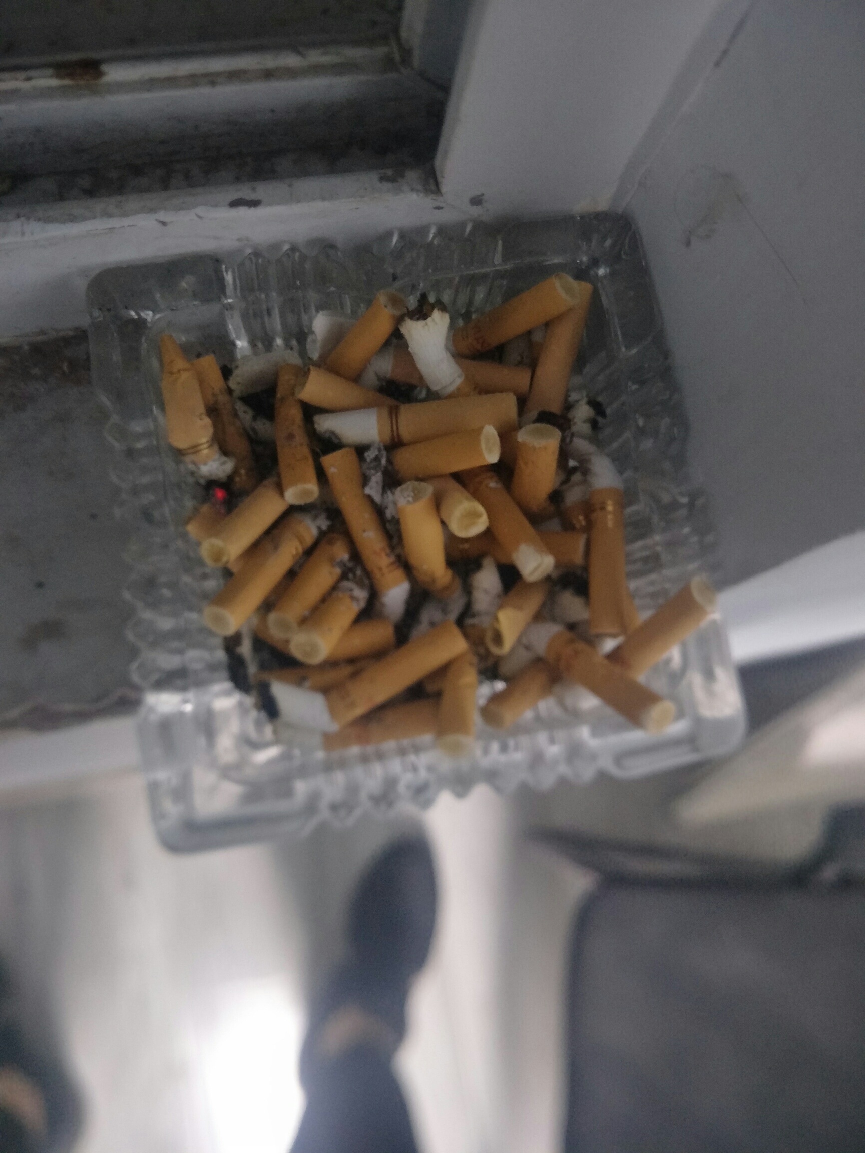 还好有这么多烟屁股晚上要降温了奥利给