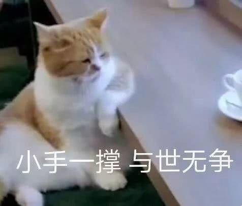2020就要过去了，老哥们今晚都早点休息吧，明天节制点，小羊毛就不要撸了。新的一年刚56 / 作者:我不想玩了 / 