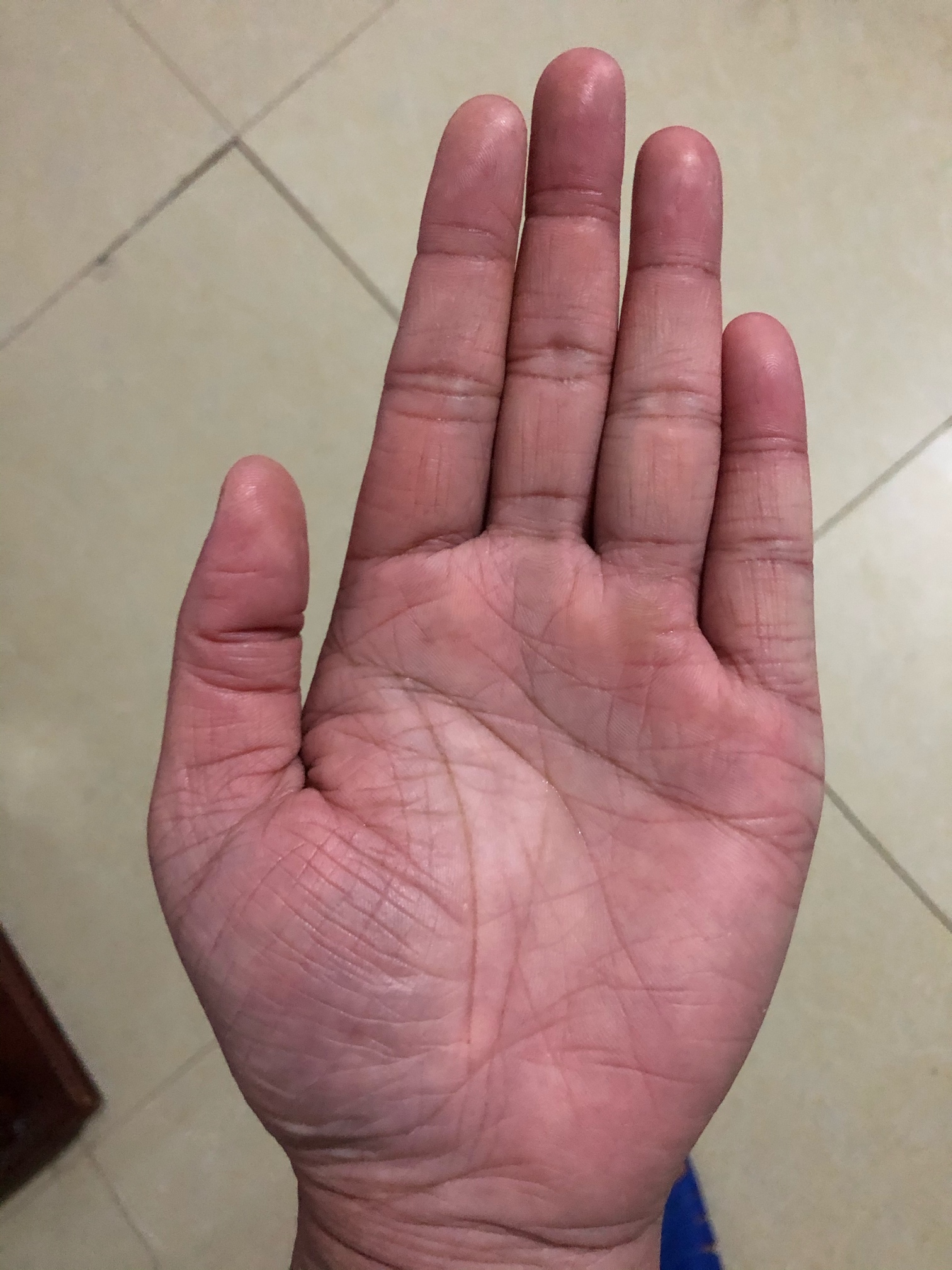 一天一次的看手相摆摊又来了。有偿，随缘打赏花贝。我送你几句话，可看过去记录，没啥98 / 作者:日撸八百 / 
