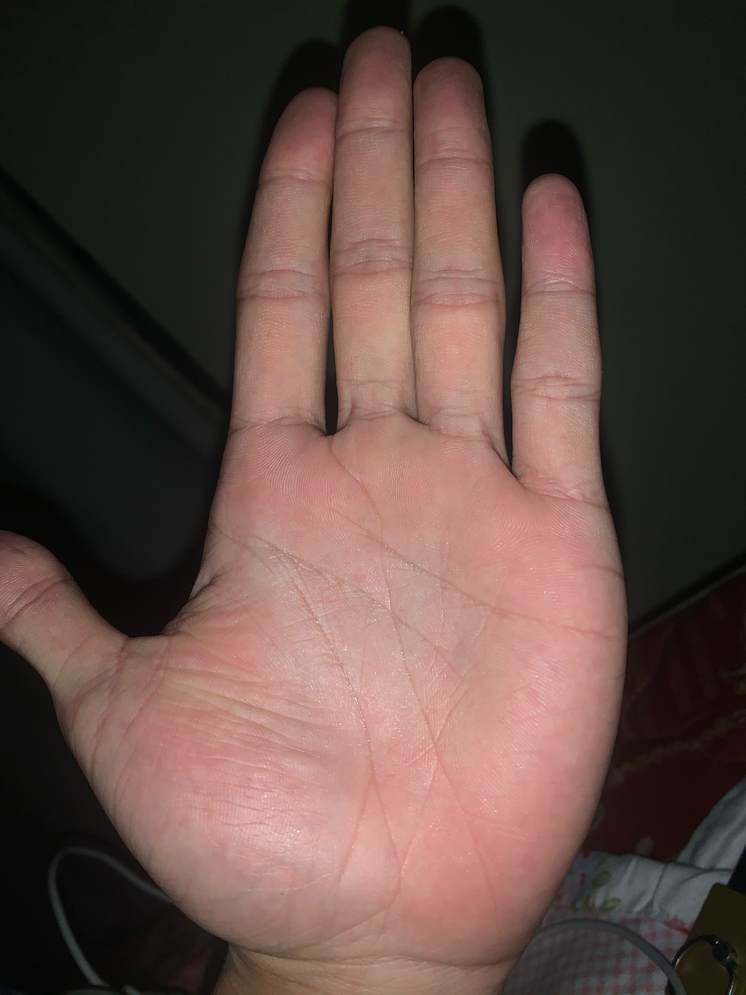 一天一次的看手相摆摊又来了。有偿，随缘打赏花贝。我送你几句话，可看过去记录，没啥22 / 作者:玫瑰园里的我 / 