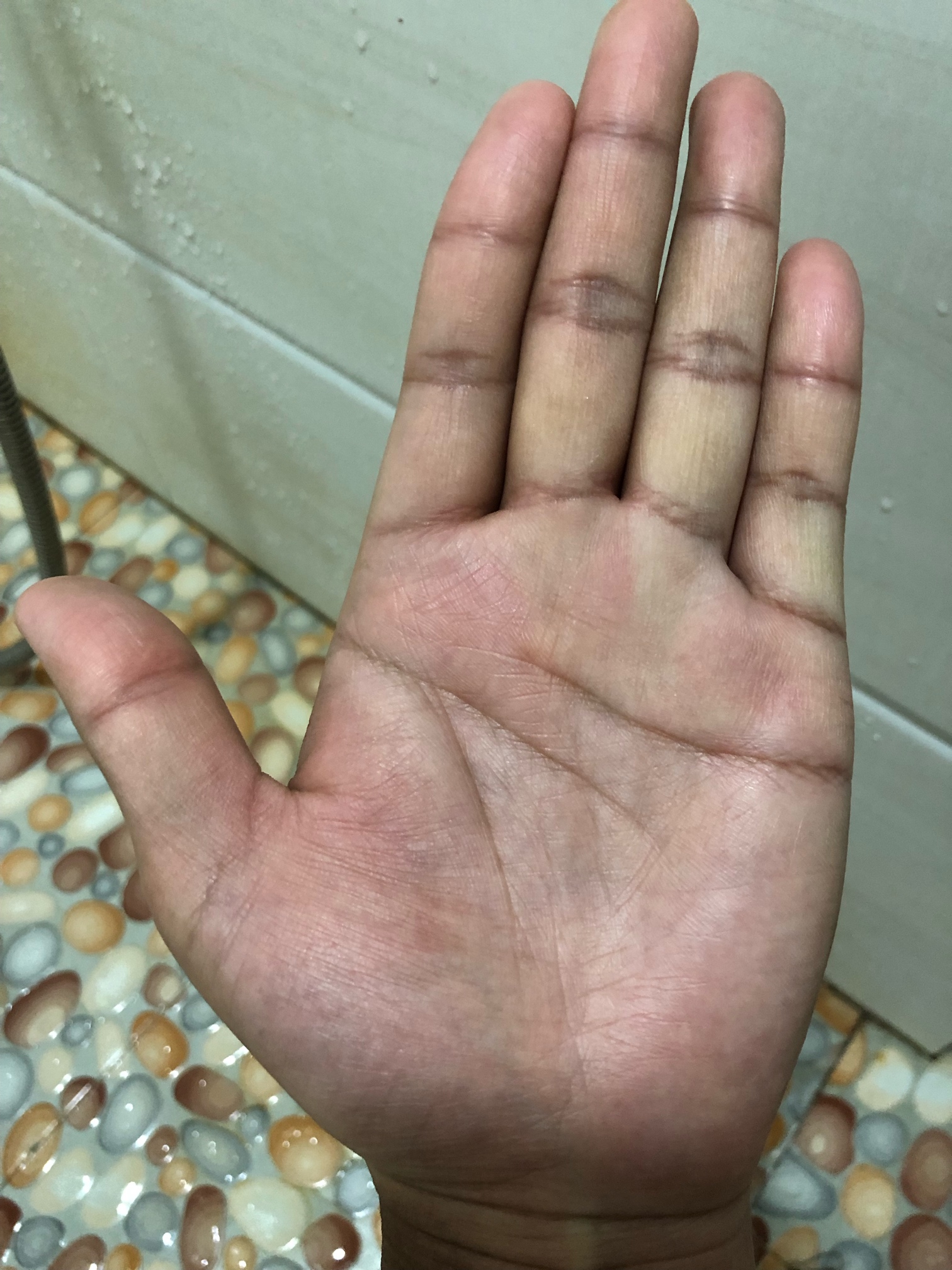 一天一次的看手相摆摊又来了。有偿，随缘打赏花贝。我送你几句话，可看过去记录，没啥50 / 作者:老狗5年 / 