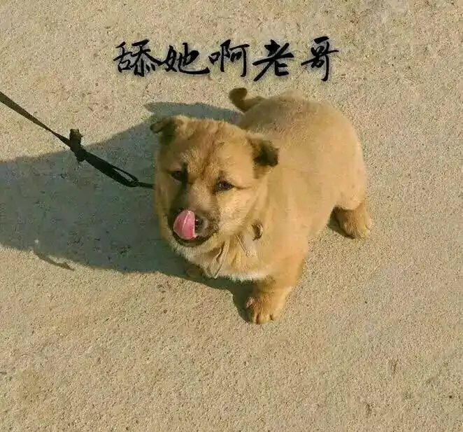 老哥们有谁睡过大自己十多睡的女人么？想找她借点钱不知道怎么开口，有没有老哥支支招89 / 作者:gghjhff / 