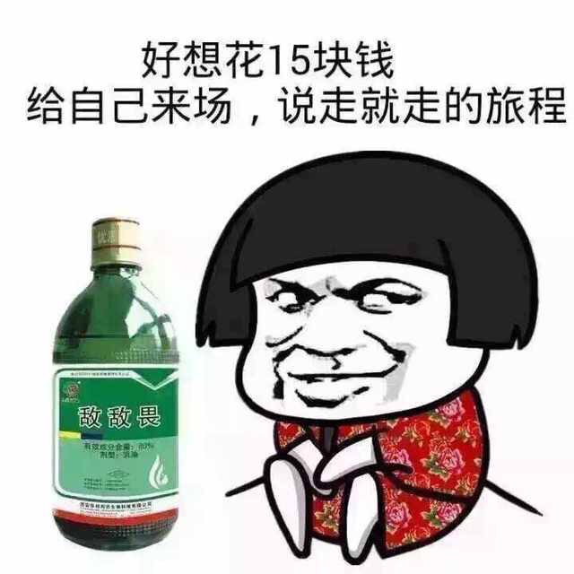 502搞笑图片带字可爱图片