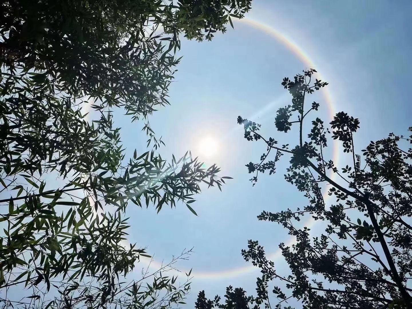 不知不觉就到卡尊了，在此我感谢卡农给了我这个撸羊毛撸ID贷的平台，感谢卡农官方一直85 / 作者:AD_a_a / 