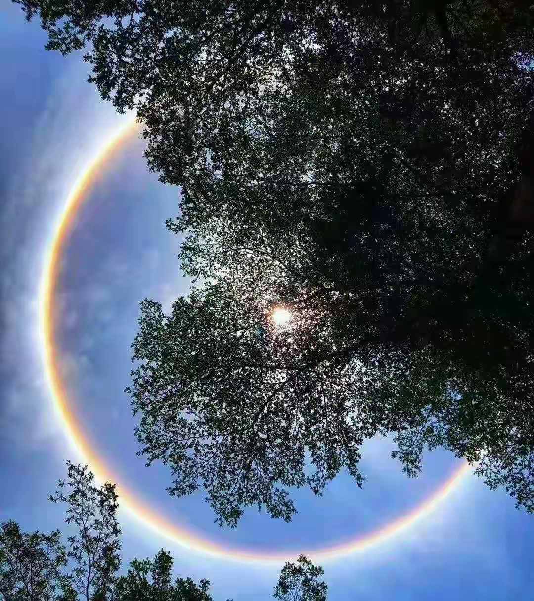 不知不觉就到卡尊了，在此我感谢卡农给了我这个撸羊毛撸ID贷的平台，感谢卡农官方一直18 / 作者:AD_a_a / 