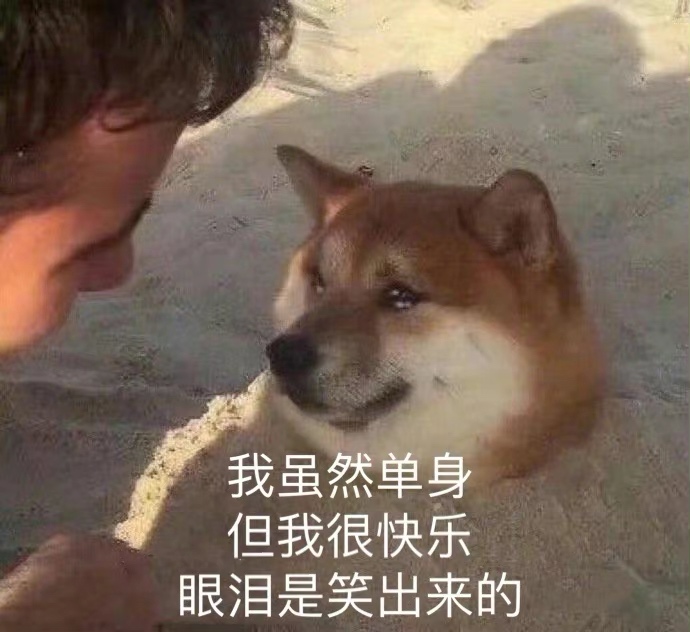 520了，各位今天就别舔了，用你爱对方的方式，好好的爱自己

66 / 作者:知名靓仔 / 