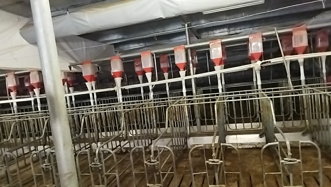 好久没来卡农了 再上几个月班就差不多可以把证信结清了虽然工作环境差了点还封闭 但工60 / 作者:君子如风 / 