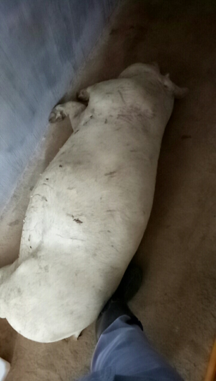 老板又亏几千块

70 / 作者:往寂 / 